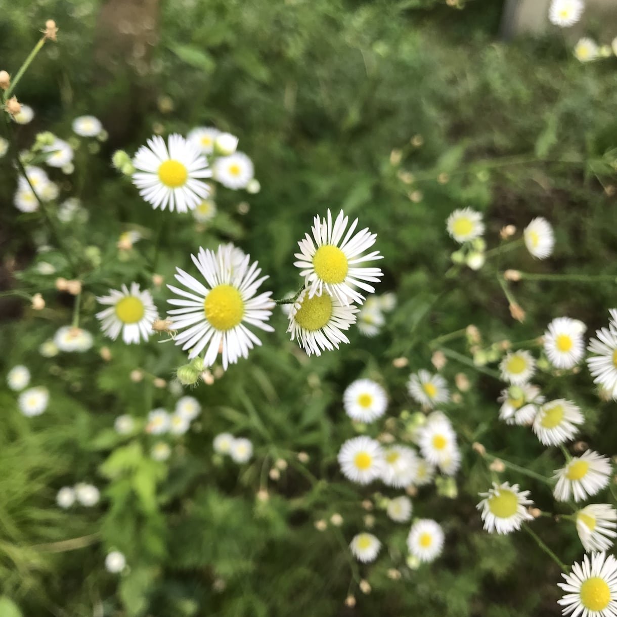 モヤモヤしている気持ちをふんわり受け止めます ちょっとだけ一息つきませんか？ イメージ2