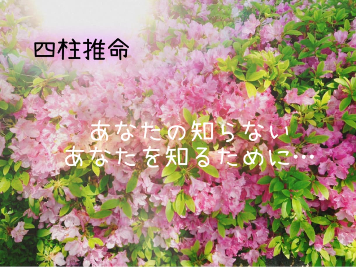 持って生まれた才能、性格、素質を鑑定します やりたいことをみつけて幸せに生きるためのヒントに！ イメージ1