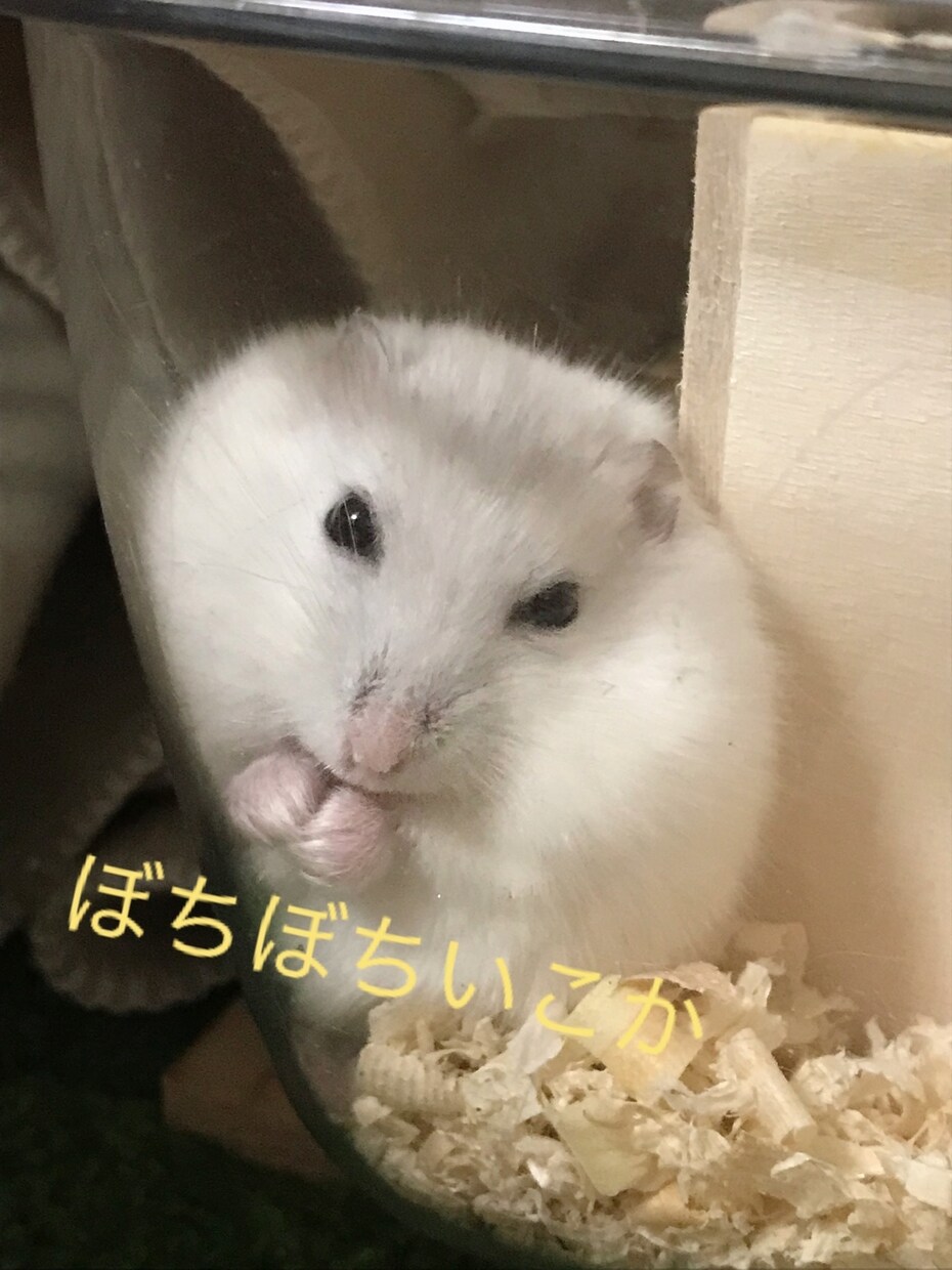 初心者ですがシナリオ、小説作成します 丁寧に柔軟に迅速な対応を心掛けています。 イメージ1