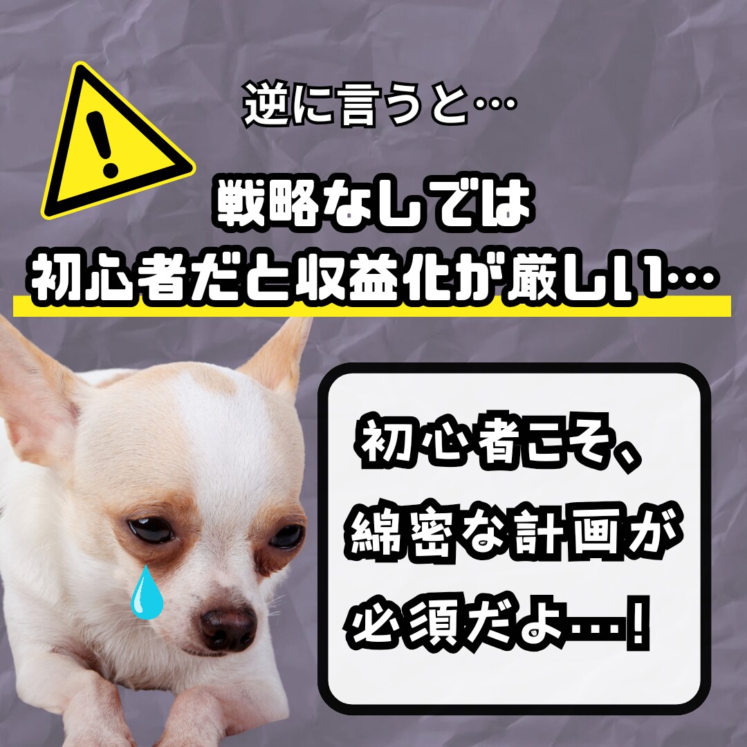 ご購入者様だけに、こっそり50%オフでご提供します SNSを活用した集客、販売スケジュールの組み方まで完全網羅！ イメージ3