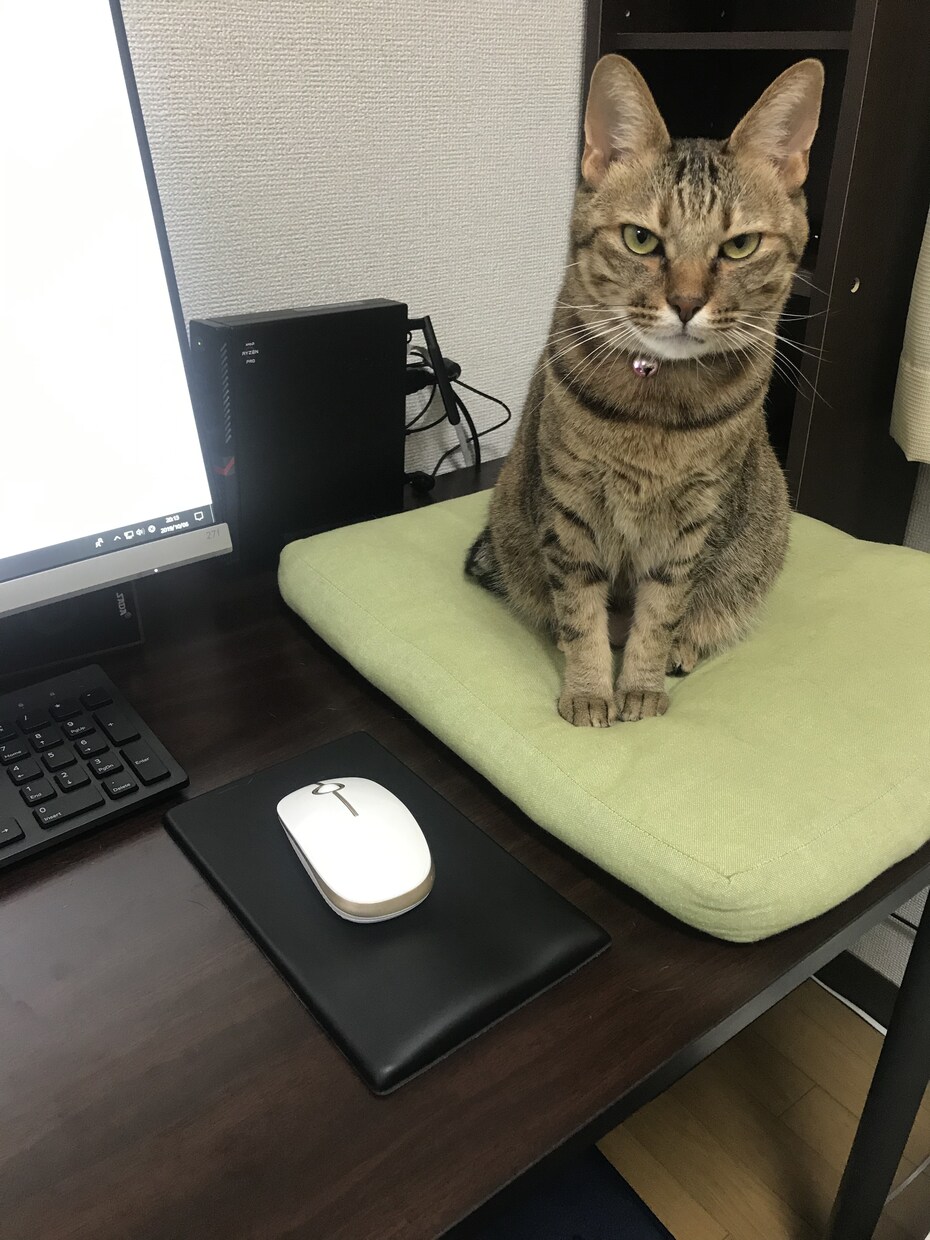 パソコンの相談受けます 現役社内システムエンジニアがご相談受けます イメージ1