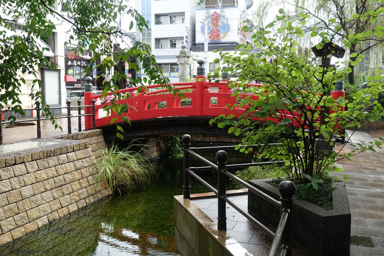 スナップ写真を提供します 地元でしか撮れない写真を提供します。 イメージ3