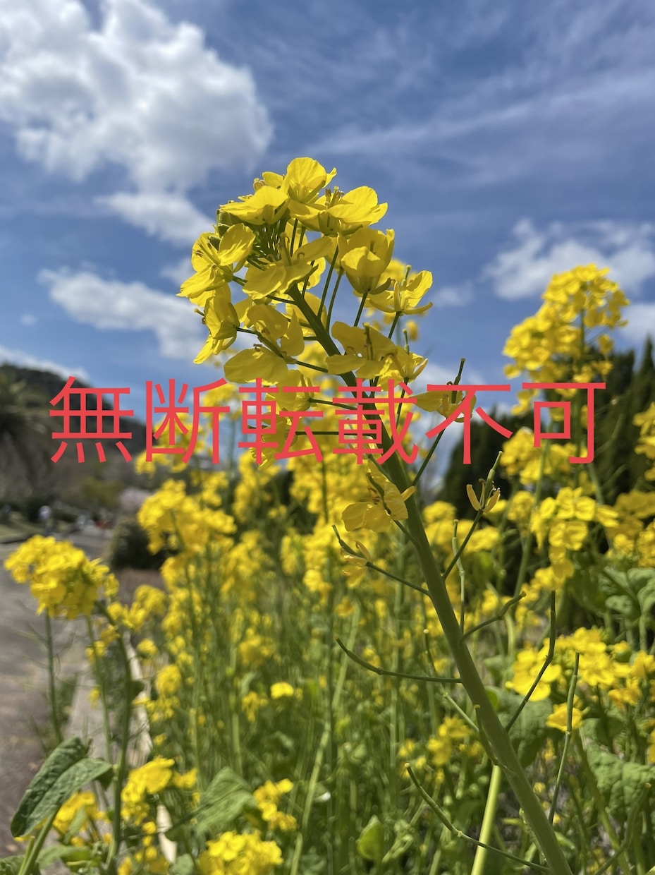 風景や自然などの写真素材を提供します 痒いところに手が届く写真素材を目指しています。 イメージ2