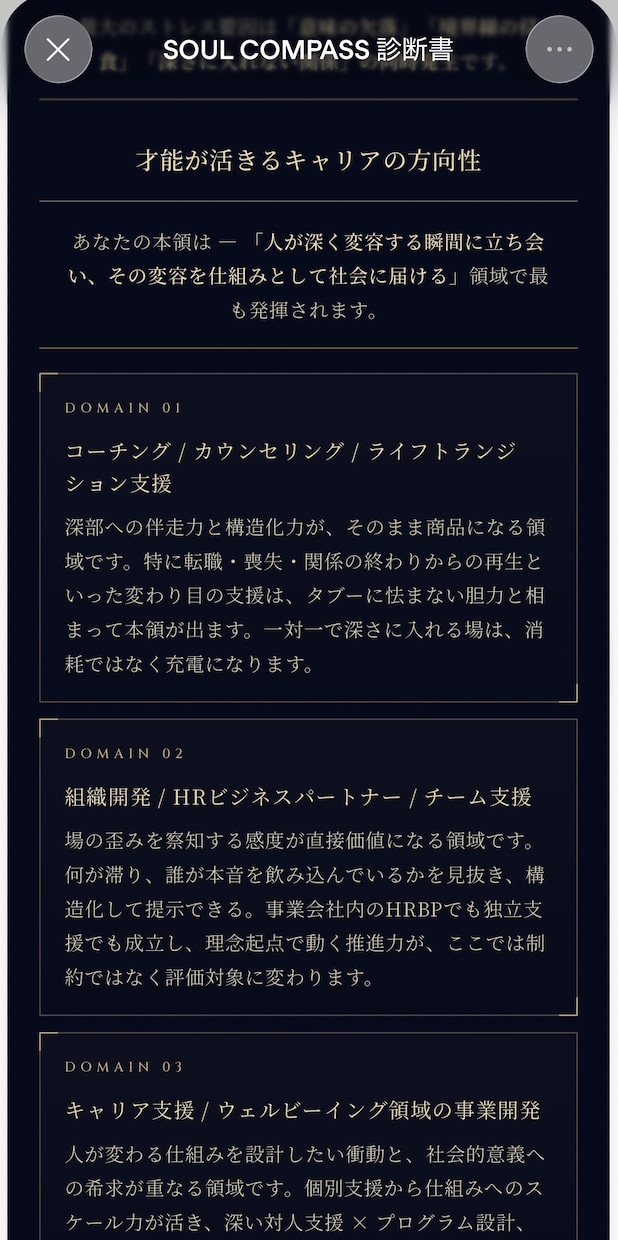 人事のプロが強み資質・適職を言語化します 診断ツールでは見えない「内面の強み」を1万字超えレポート イメージ8
