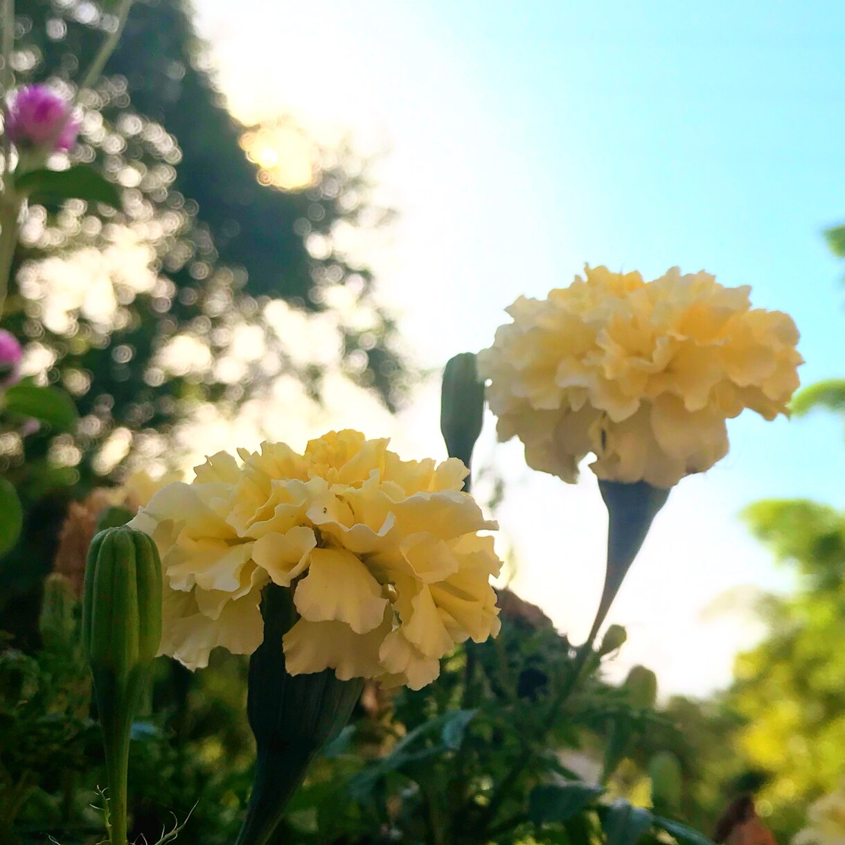 魅せる写真を作ります 自分の撮った写真を綺麗に見せたい方へ イメージ3