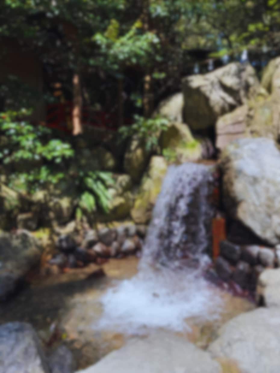 年に一度の大祭、椿大神社にある庚龍神社に参ります 5月１２日に行われる大祭で玉串を奉納致します イメージ3