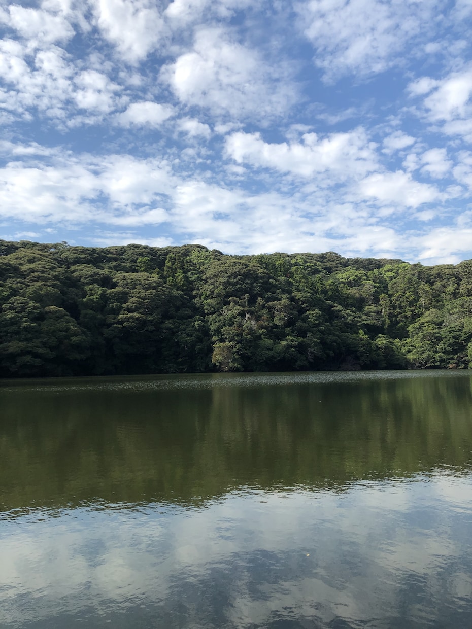 四柱推命鑑定をもとに、悩みや夢へのアドバイスします 占い好きな方、悩みや夢にどう行動していくか困ってる方へ イメージ6