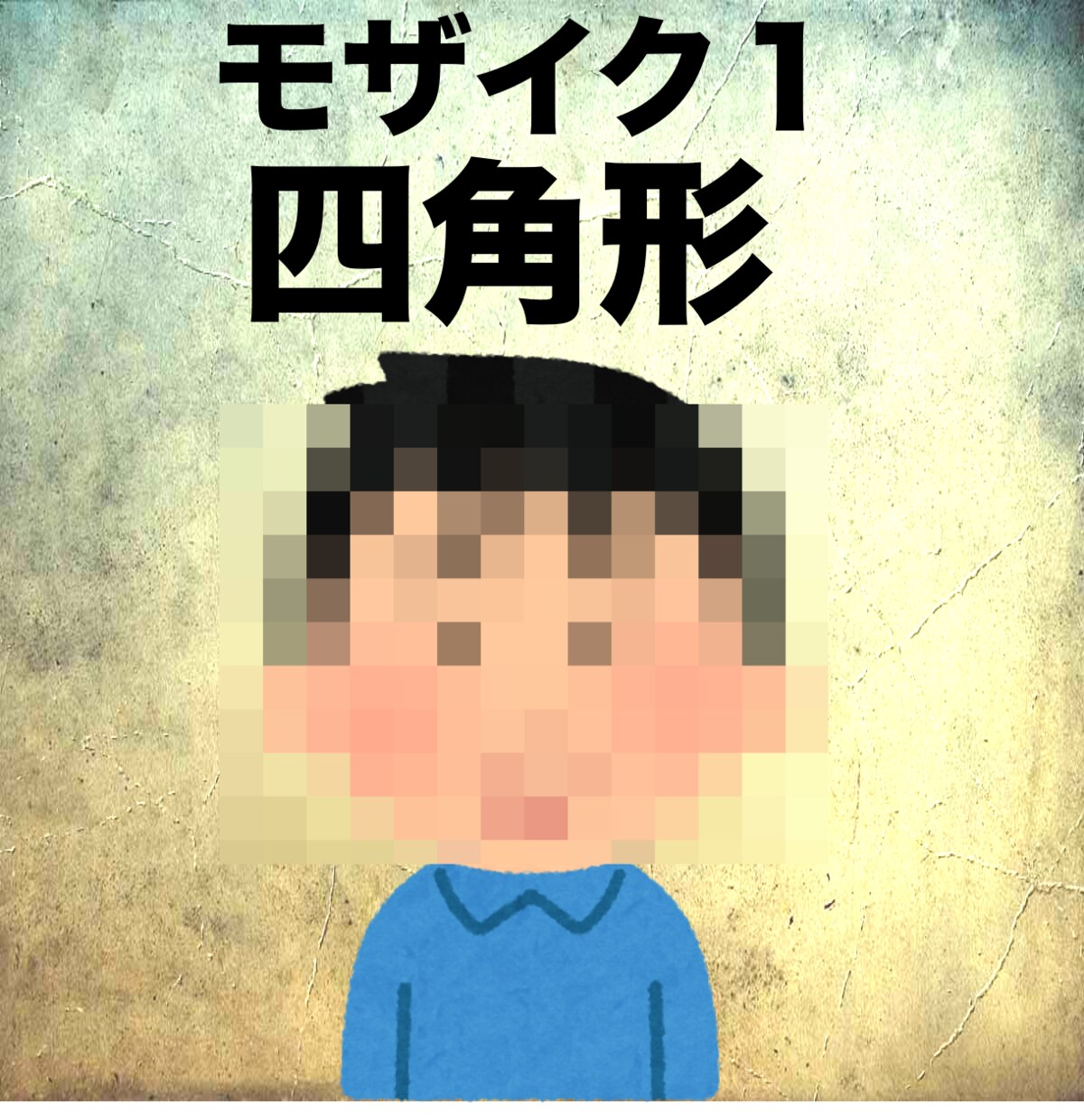 動画にモザイク処理を受け付けます モザイク、ぼかし処理を致します。 イメージ2