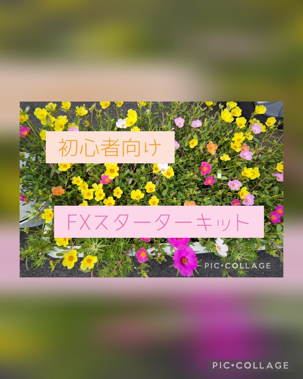 FXスターターキット教えます 今からFXについて学びたい初心者向けです！ イメージ1