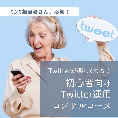 わかりやすい！Twitter運用をお教えします Twitter初心者さん・SNS担当者さんにおすすめ！ イメージ1