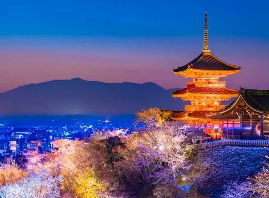 夜の駆け込み寺になります 貴方はもう頑張らなくていいのです イメージ1