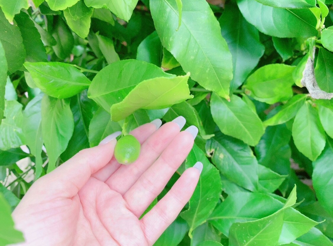 想いのままに♡女友達の私があなたのお話全部聞きます 年齢なんて関係ない✨一緒に和やかな時間を過ごしましょ♡ イメージ9