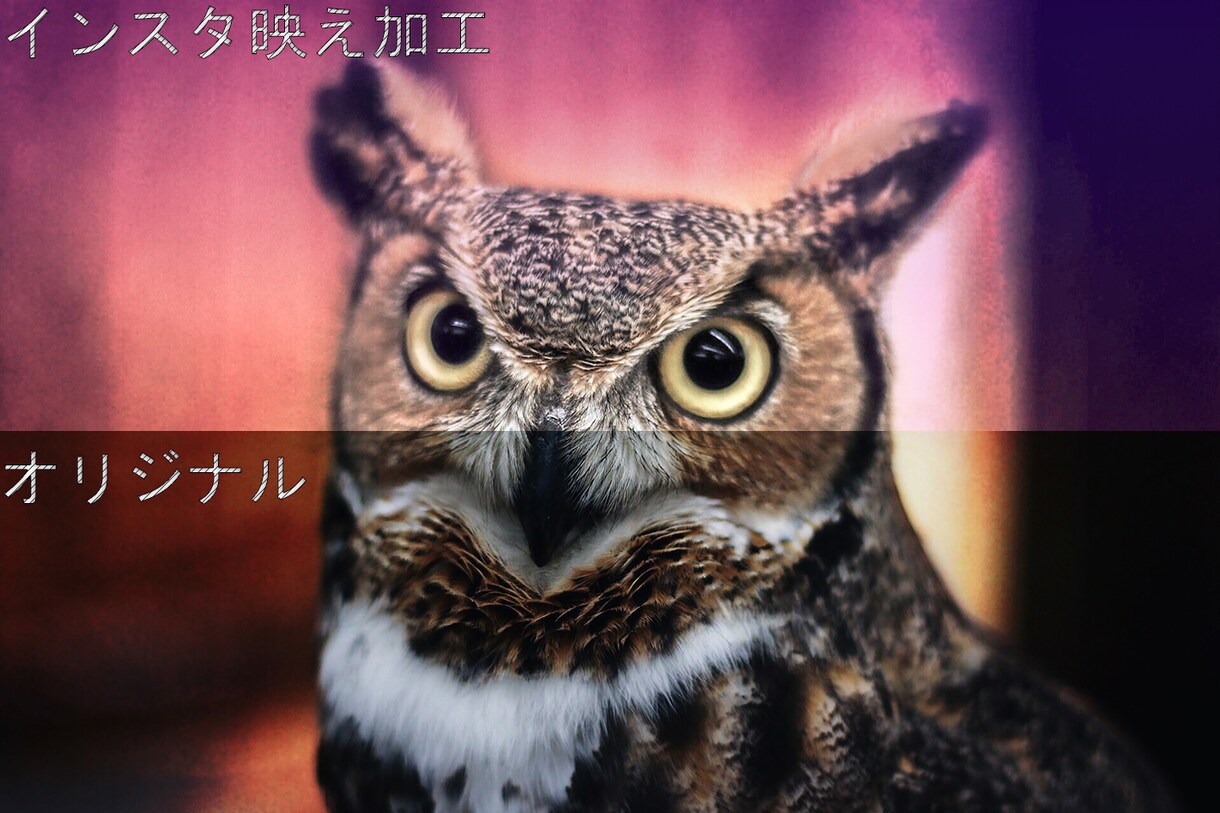 画像を高画質化します AIによる高画質化でぼやけた写真などが高画質になります！ イメージ3
