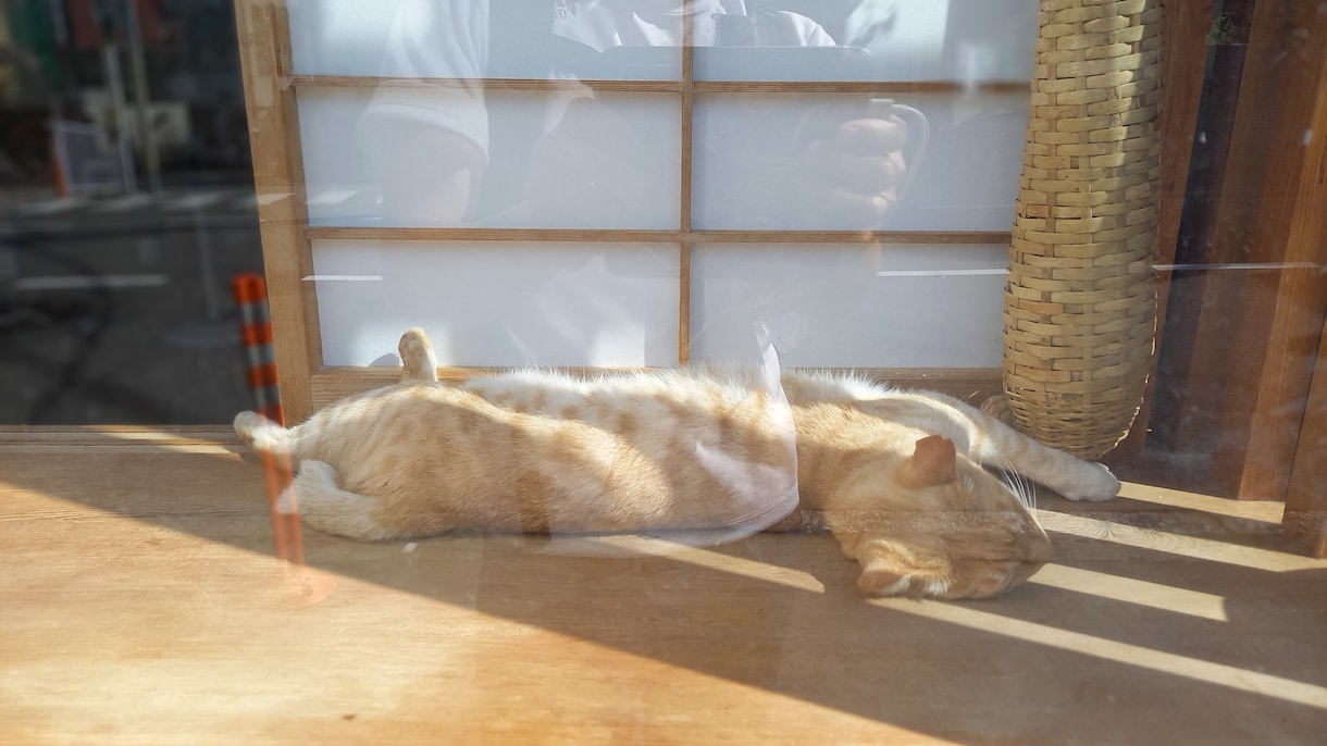 まずは現状維持！！ちょっとだけお供します 自称「プロの引きこもり」と一緒に先ずは明日を迎えませんか。 イメージ2