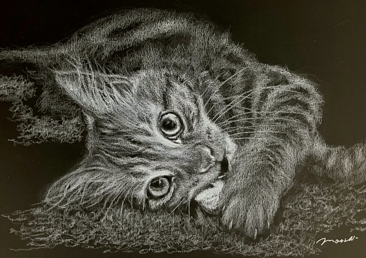 黒紙に白色鉛筆でリアルな絵を描きます 他にはない黒紙に白色鉛筆だけでリアルな質感で絵を描きます イメージ1