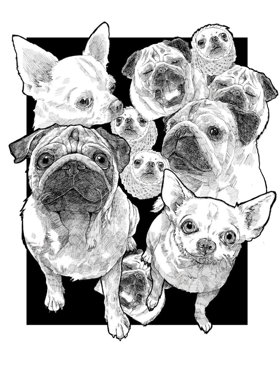 自慢の愛犬を雑誌(?)っぽく仕上げます 自慢の愛犬や小動物、爬虫類も大丈夫です！可愛く仕上げます✨️ イメージ1