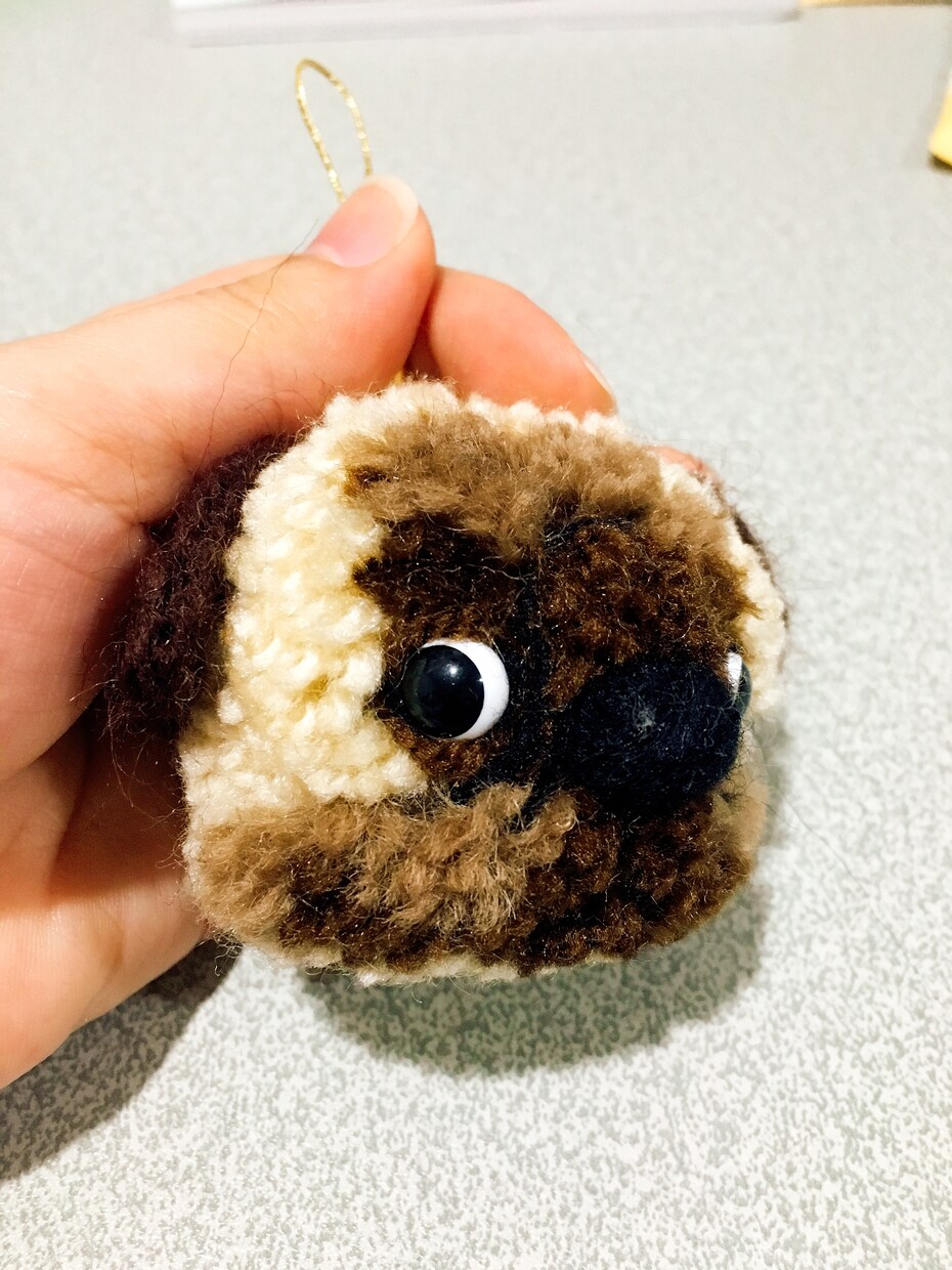 動物ぽんぽん作製します あなたの大切な家族であるペットの動物ぽんぽん☆ イメージ5