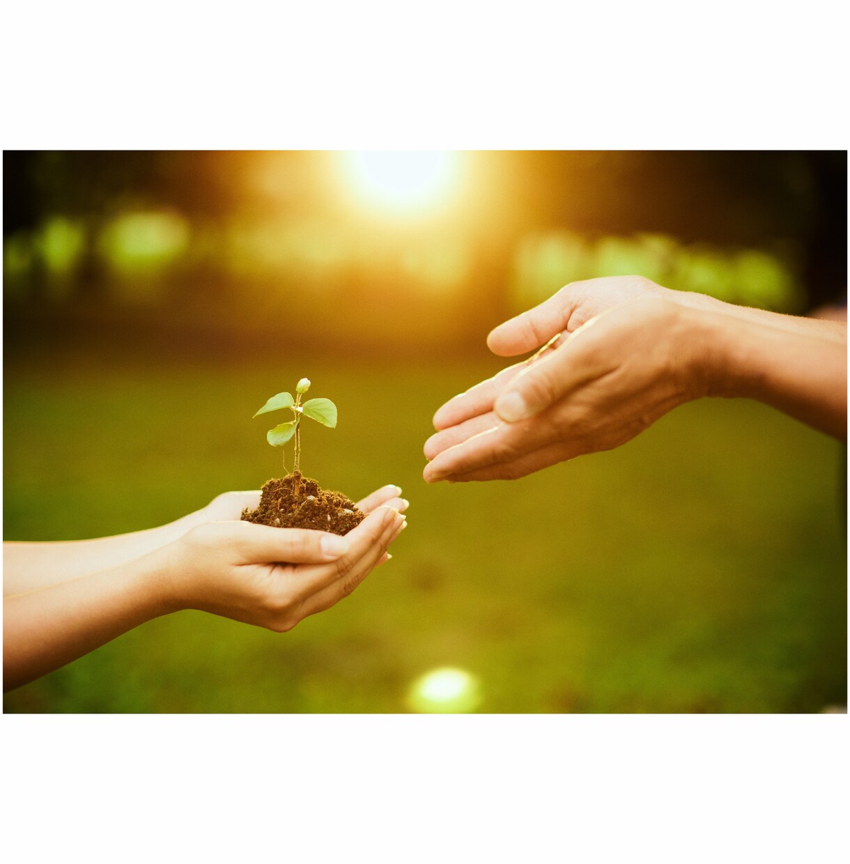 進むべき道を霊感タロットカードで占います 生年月日不要でワンコインで占います。 イメージ2