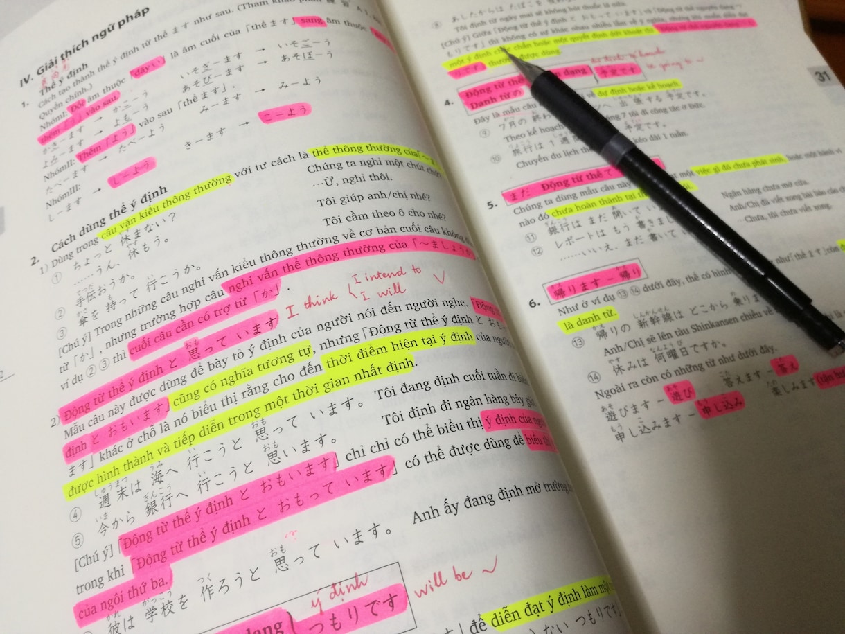 ネイティブによるベトナム語添削、翻訳いたします ベトナム語⇄日本語翻訳添削。ネイティブチェックあり！ イメージ1