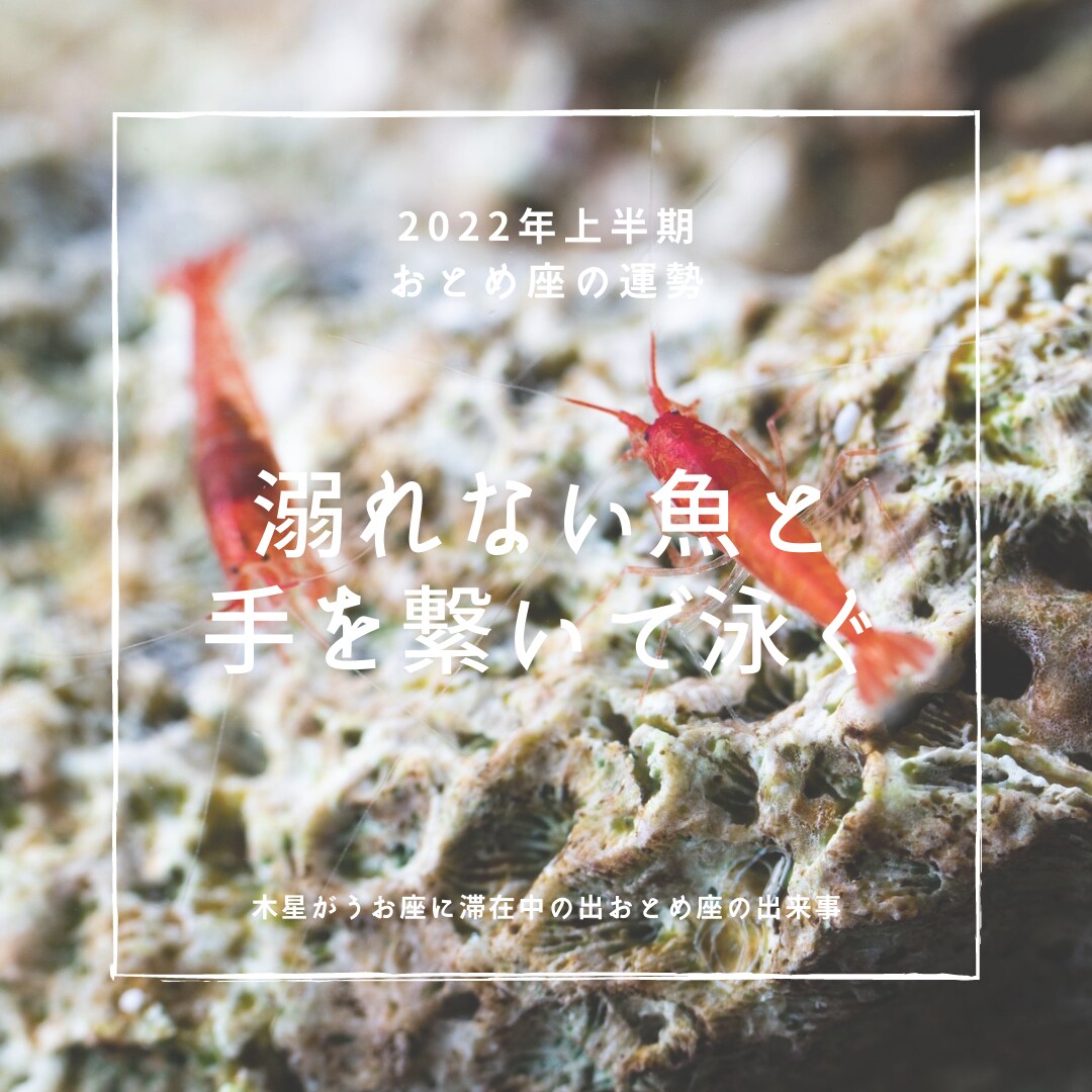 西洋占星術による2022年上半期の運勢をお渡します 時間のないあなたに、ブログやSNSなどに使用可能な運勢鑑定 イメージ7