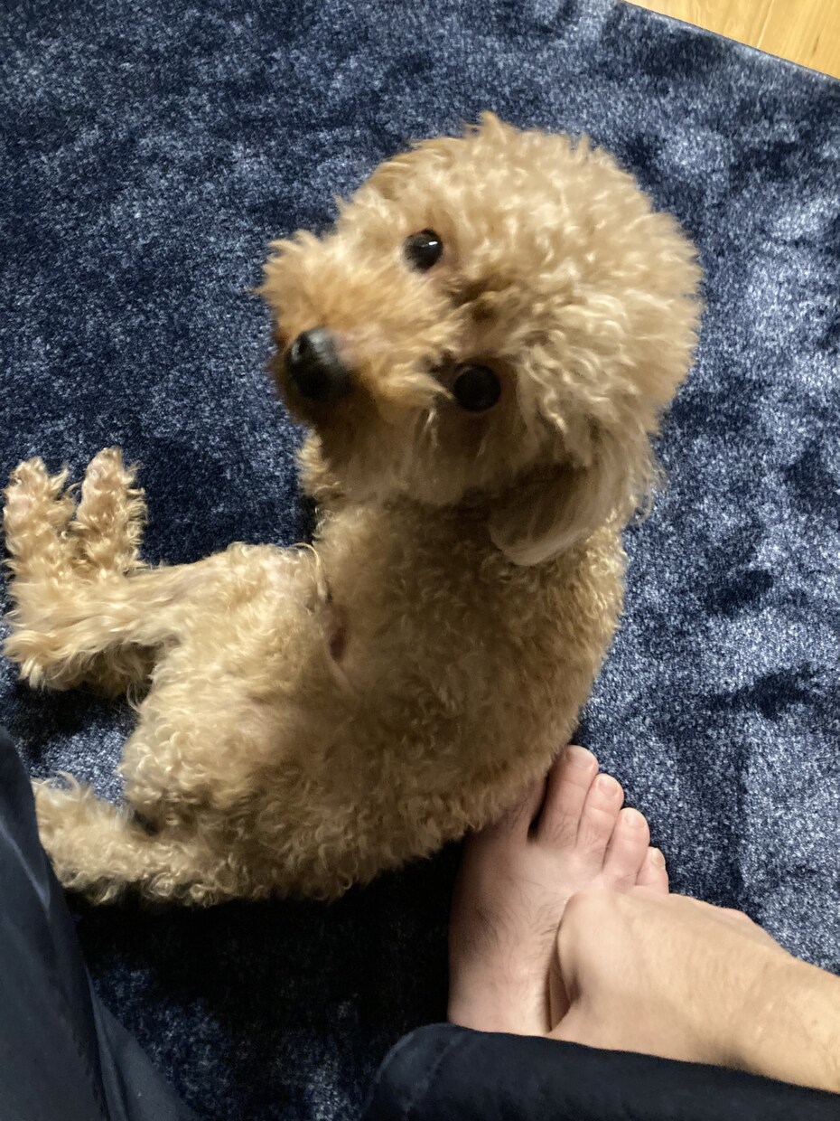 どんなお話でも聞きます 私は聞き上手とても良く言われます！ イメージ1