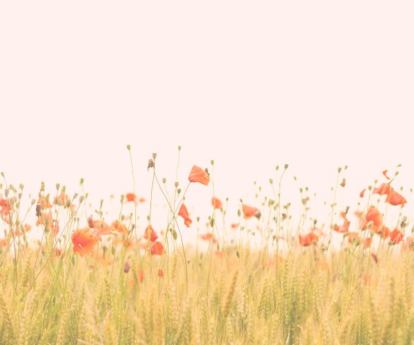 ちょっと話したいとき、元ナースが話し相手になります 日々の疲れを癒していきませんか♪どんなことでもOK☆ イメージ5