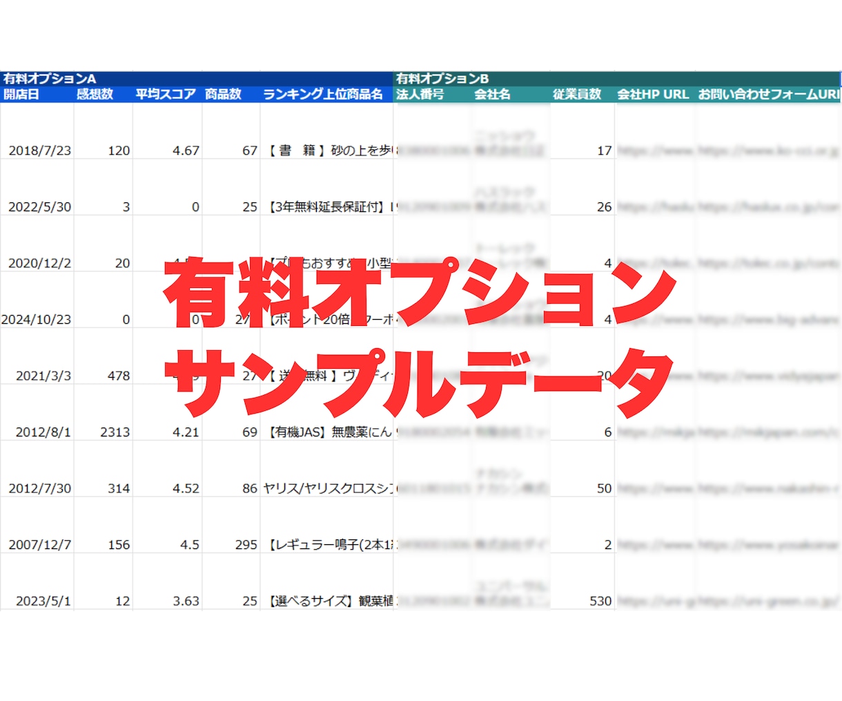 楽天✅ EC出店者の営業リスト提供します 毎月更新・即納あり・低価格でご提供します！会社HP等付与可 イメージ3