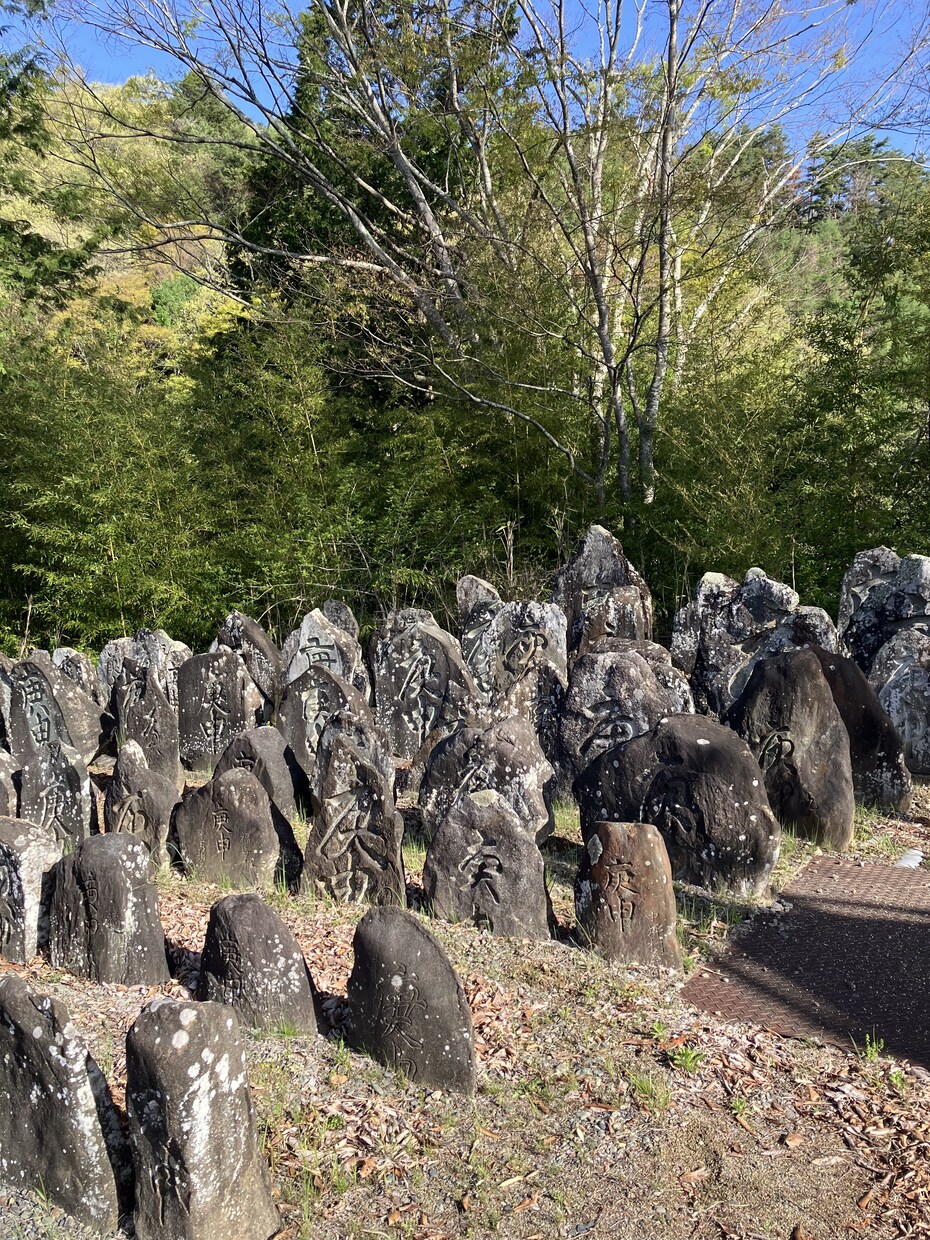 全ての悩みに対し最善の解決策を霊視します 仕事、人間関係、恋愛、金運などあらゆるお悩みを好転させます イメージ5