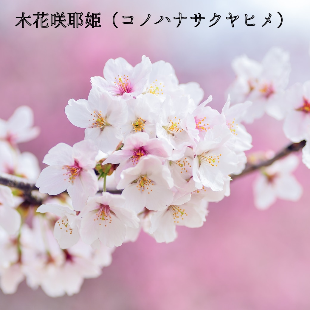 初回限定！魂の強みと進むべき道を紐解きます 霊視と神話鑑定の融合。今、必要な魂の道標をお伝えします イメージ9