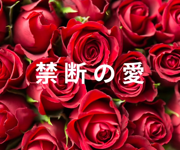 ２４時間チャット✅秘密の恋⭐不倫・浮気全部聞きます ⭐チャットだから気軽に☘️100％☘️あなたに寄り添います イメージ3