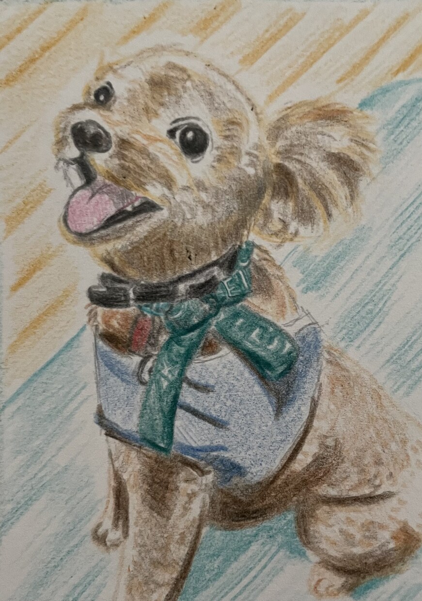 手描きで優しいペット似顔絵をお描きします 写真をもとに、やさしい雰囲気の似顔絵を描きます イメージ6