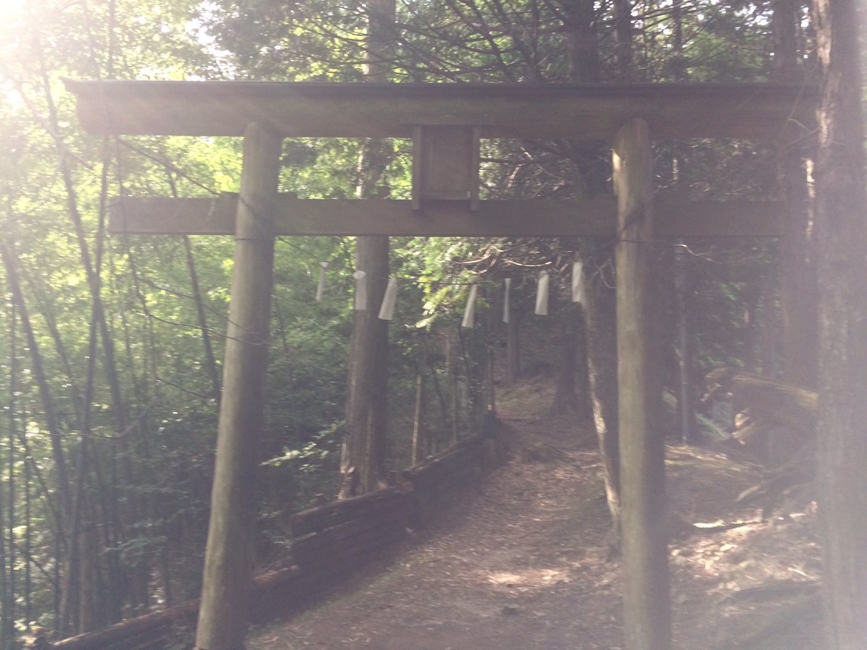 神直毘神社　神恩感謝で参拝願います 祓え給い、清め給え、神ながら守り給い、幸え給え イメージ1
