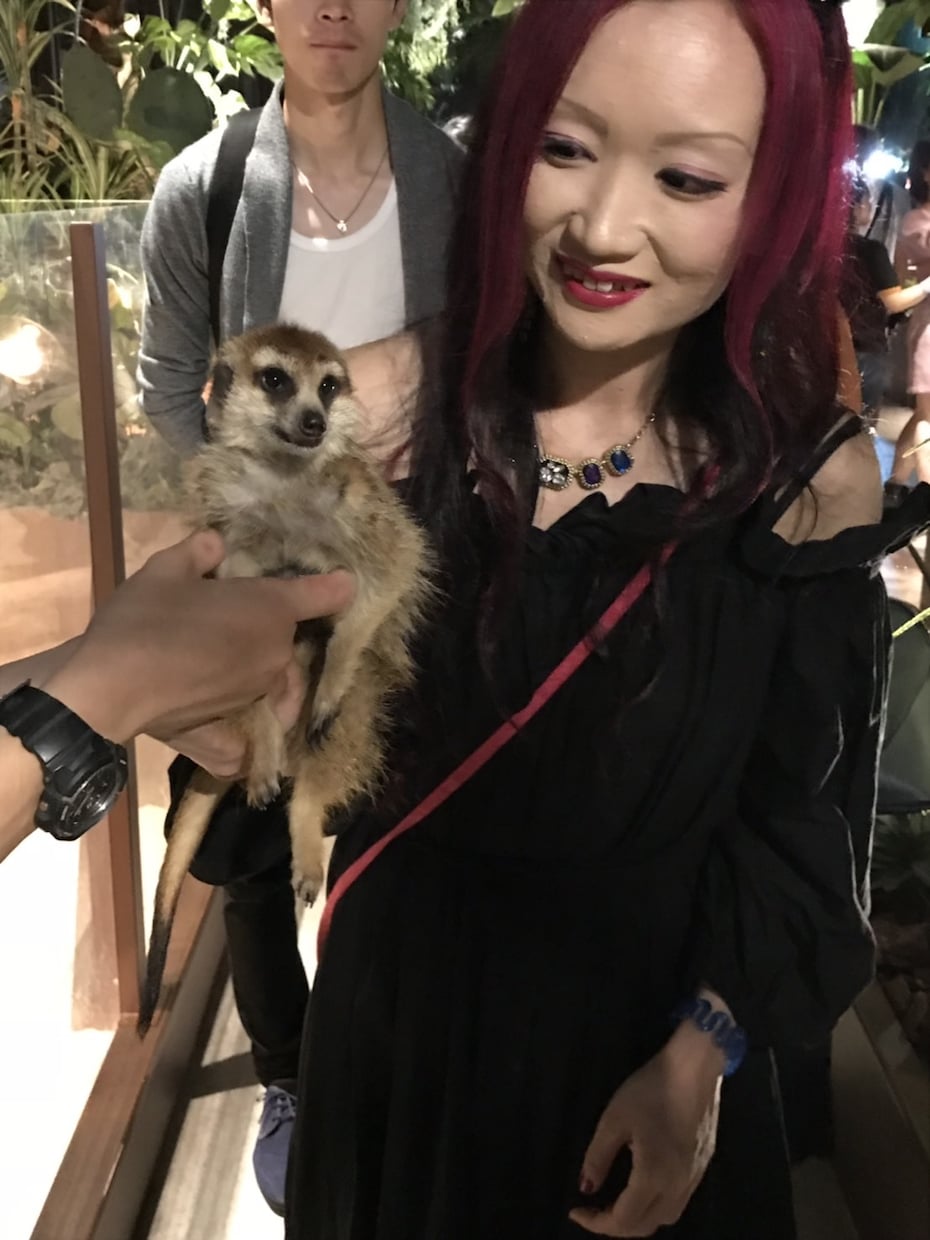 アニマルコミュニケーションで動物さんとお話します ペットさんと気持ちを通わせて、より絆を深めましょう。 イメージ4