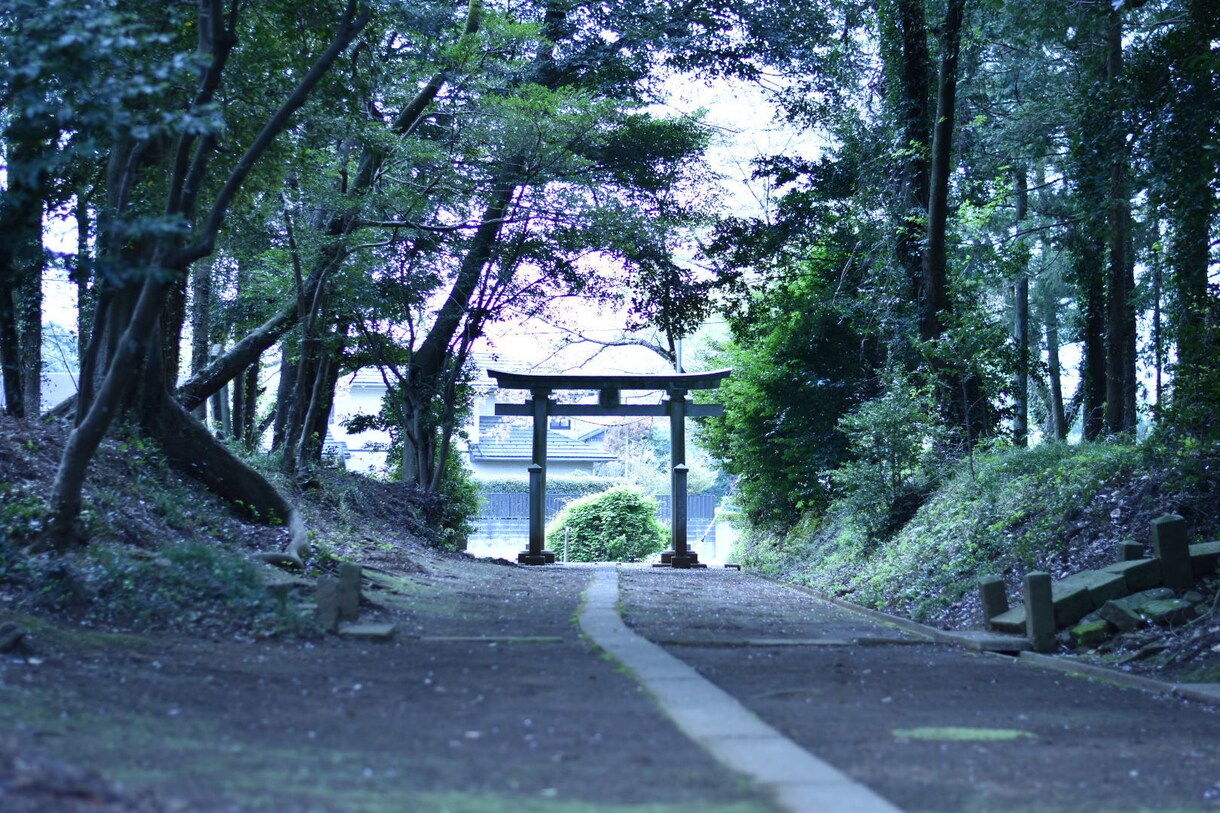 千葉限定！自前の一眼レフで風景など撮影代行します ご希望に添った写真を撮影、販売致します。 イメージ3