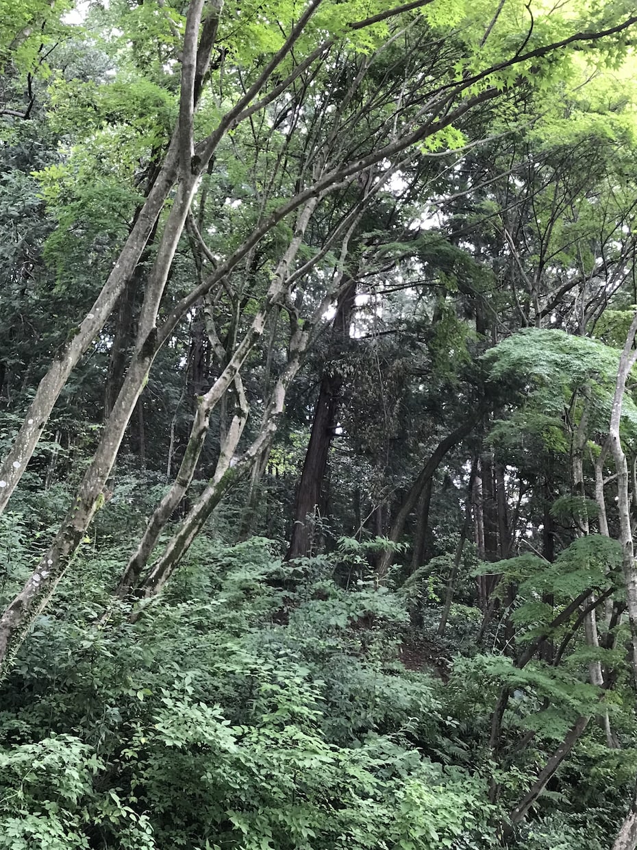 話してみたらすっきりするかも？あなたのお話聞きます 「癒しの母」があなたの気持ちをしっかり受け止めます！ イメージ2