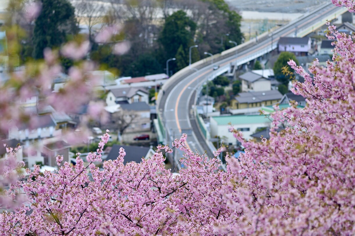 美しい写真を丁寧に撮影します 学生時代から写真が好きでプロに負けない美しい写真を撮影します イメージ2
