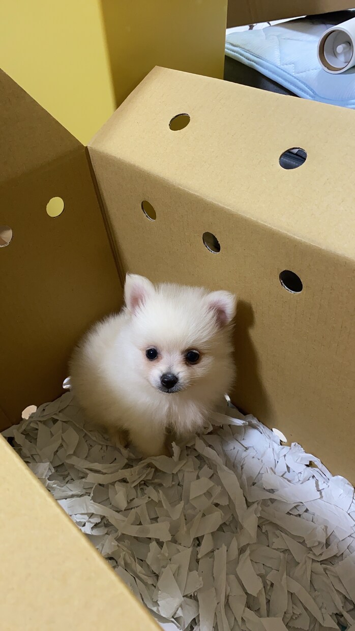 画像からテキストデータにします 皆さんのお役にたてたらと思います。 イメージ1