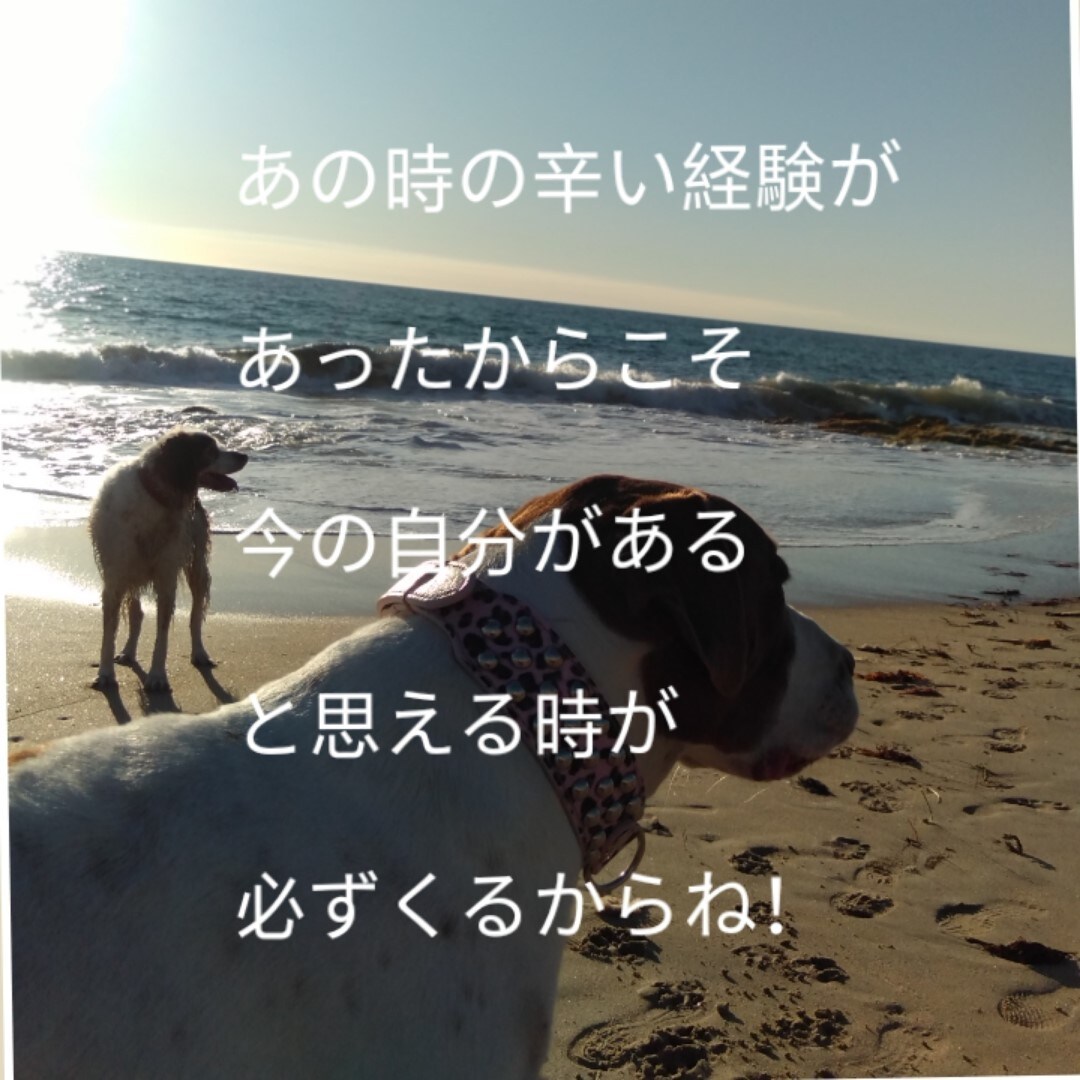 心の曇り空、意識改善、人生迷子等のお手伝いします 思考方を少し変えるだけで、今までとは違う景色が見え始めます！ イメージ3