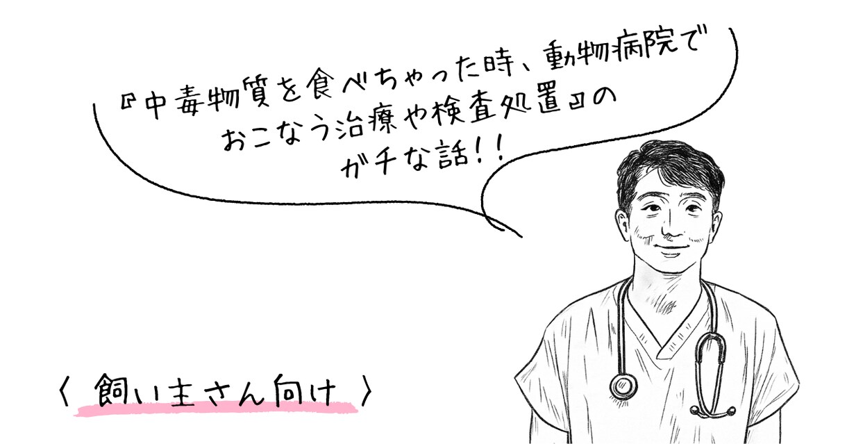 飼い主さんを1ヶ月間、総合的にフォローアップします 『治療時の動物の気持ち』や『在宅ケア』や『予防』にフォーカス イメージ1