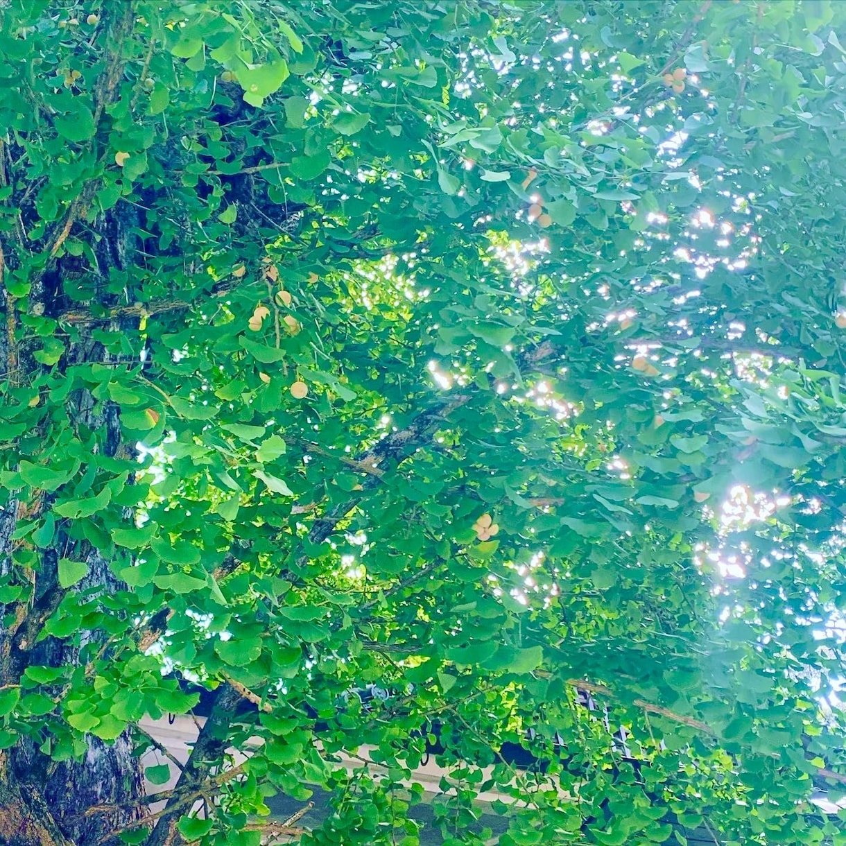 写真から鑑定士します お写真から霊視、運気をみます。 イメージ1