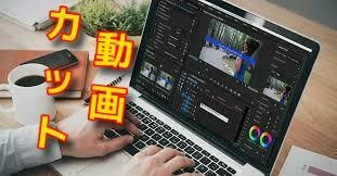 動画のカットを承ります 長い動画を短くしたいあなたにピッタリ5名様限定動画カット イメージ1