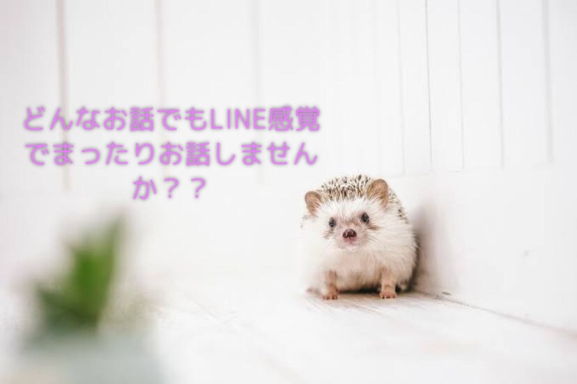 LINE感覚で気軽にお喋りします 直接話すのが苦手な方もLINEのようにゆるーくお喋りできます イメージ1