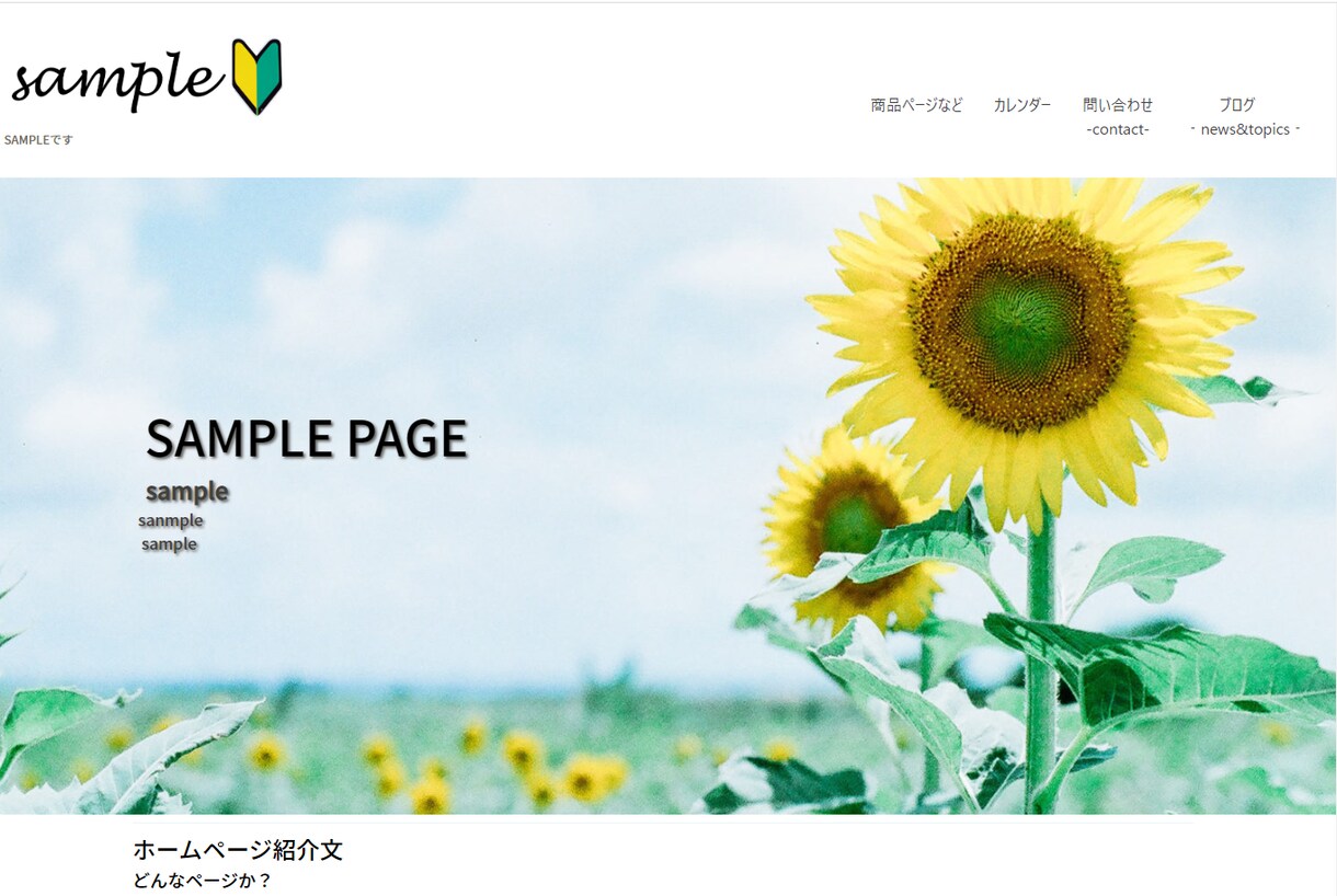HP作成実績ないので格安でします HP作成と運用のアドバイスします。 イメージ1