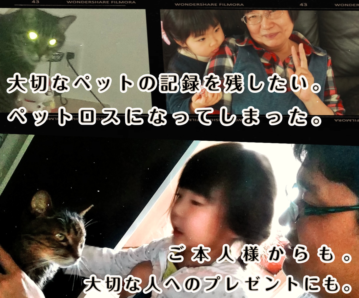 虹の橋を渡ったペット "想い出動画" つくります 「ありがとう。」　心に寄り添うナレーション。 イメージ3