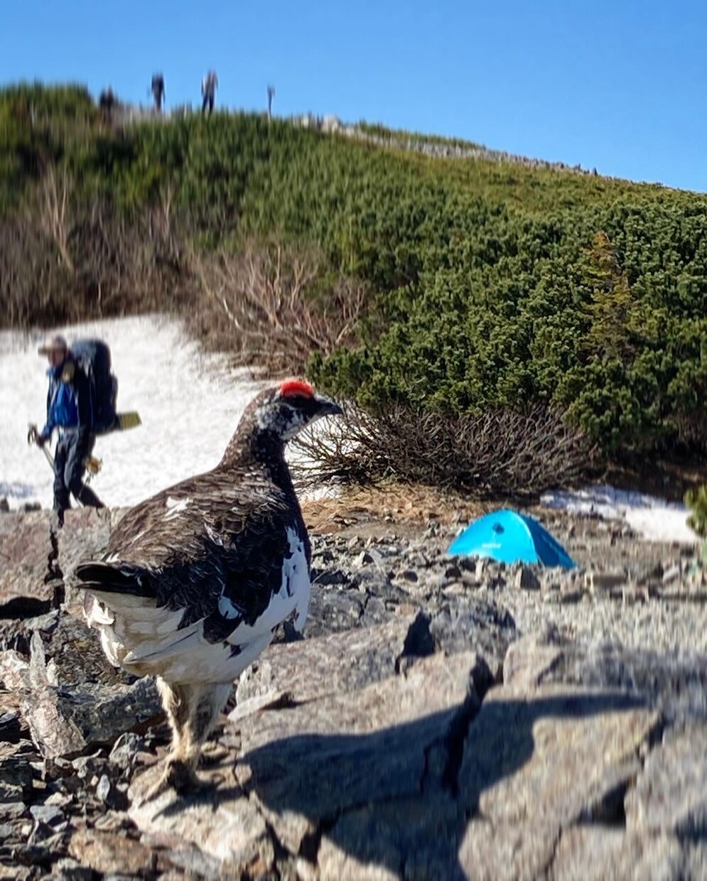 北アルプス・八ヶ岳の安全登山をアドバイスします /初心者でも安全に楽しむコース選びと装備相談を受付中！！ イメージ2