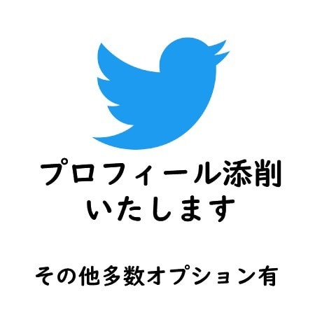 Twitterのプロフィール添削します プロフィールを魅力的にすることからはじめましょう！ イメージ1