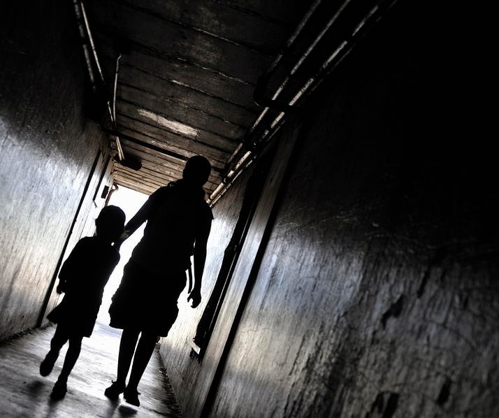 その問題の根っこ　母娘関係に切り込みます 毒親の呪詛から解放され貴女の感情・感覚・人生・幸せを取り戻す イメージ2