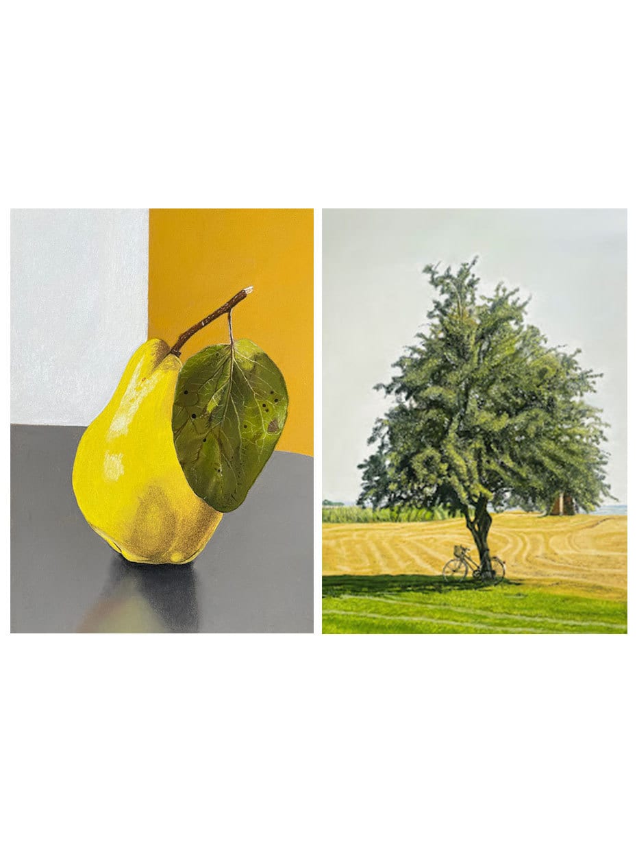 オンライン絵画教室！猫や風景画などの描き方教えます 89動画で学べるパステル画絵画教室！楽しく認知症予防！ イメージ5