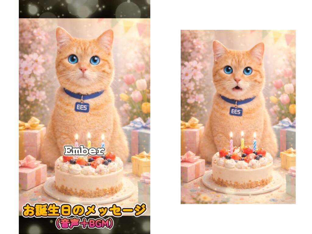 うちの子が喋る！？魔法のメッセージカード作ります 写真1枚で完成！誕生日・母の日・天国から…感動のサプライズ イメージ5
