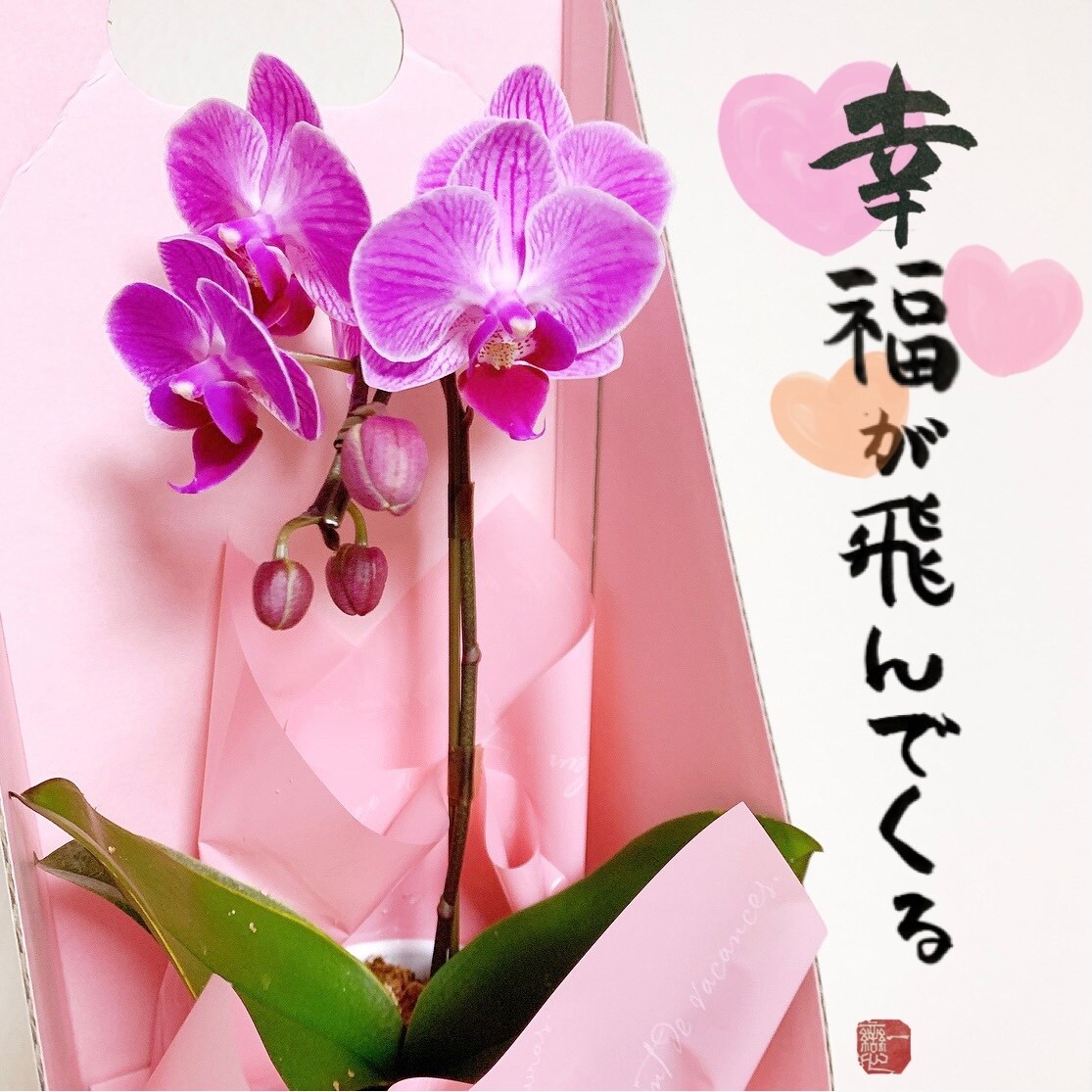 お好きな写真に筆で書いた文字を入れます 筆もしくは筆ペンで書いた文字をお好きな写真に入れます イメージ4